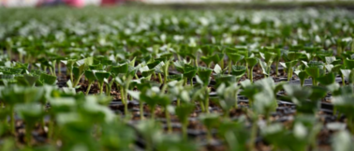 维多利亚老品牌vic(集团)官方网站