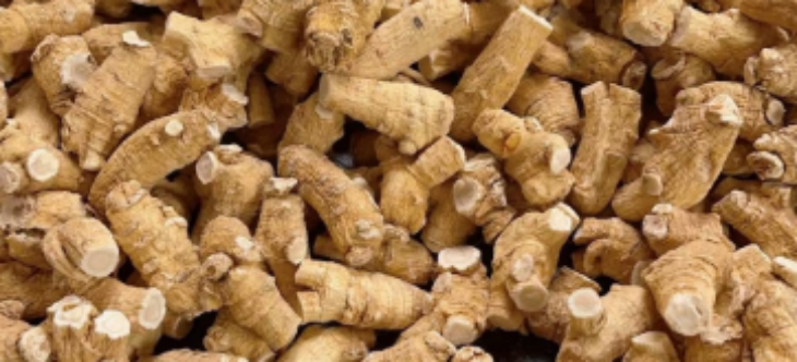 维多利亚老品牌vic(集团)官方网站